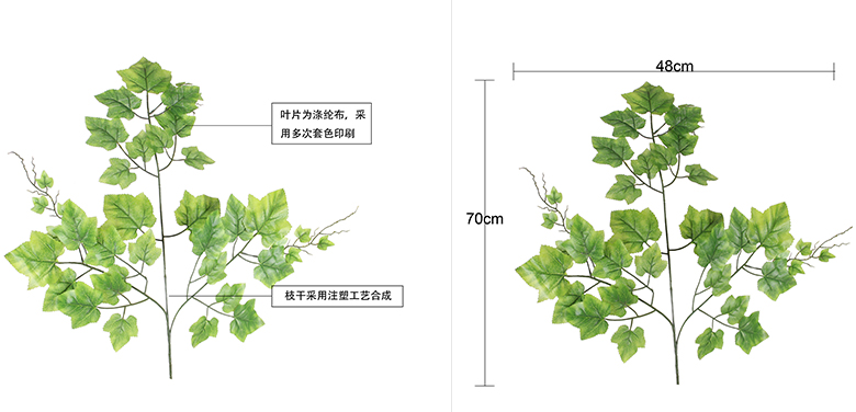 提子葉